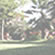 magnifico parco con magnolie e palme