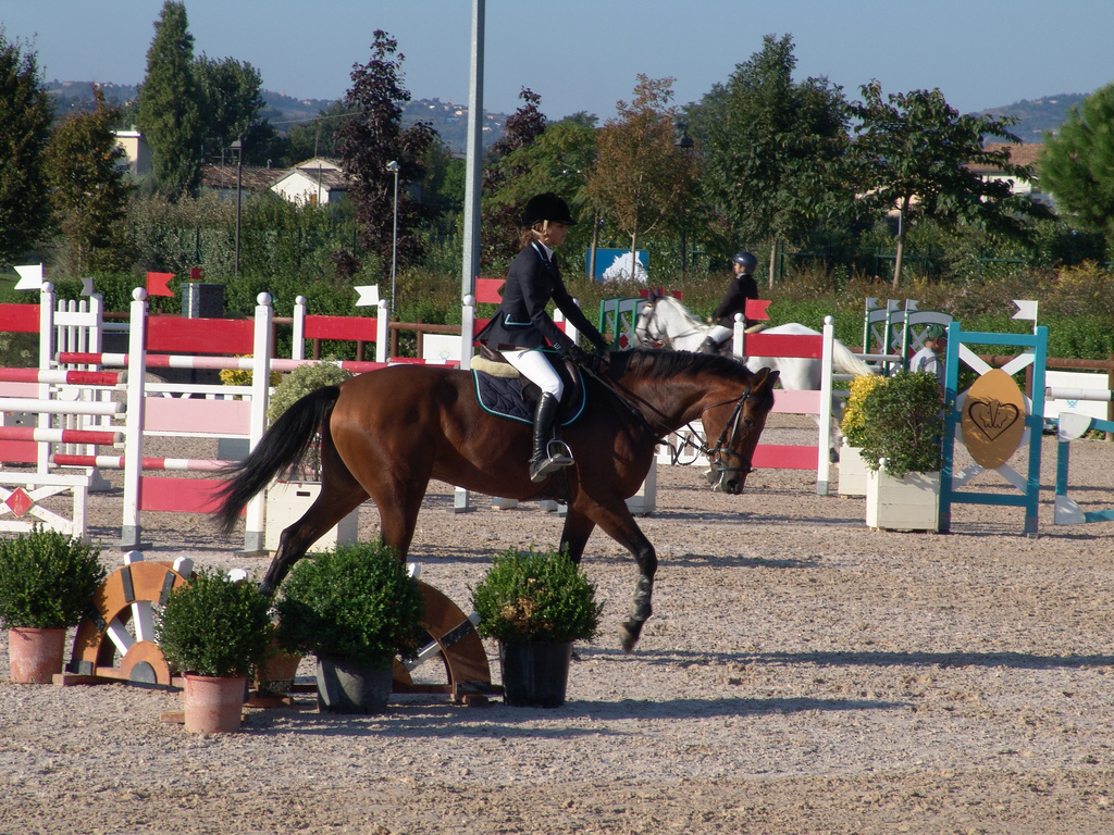 Riviera Horses San Giovanni Marignano
