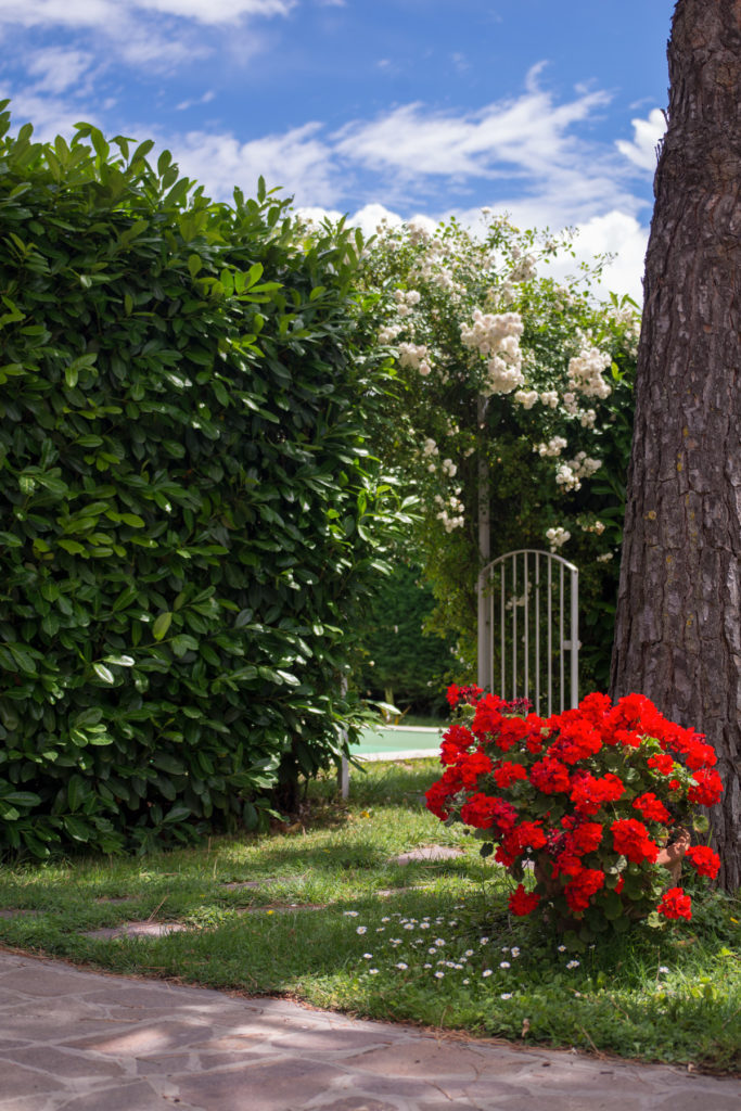 il giardino, la piscina, B&B il casale