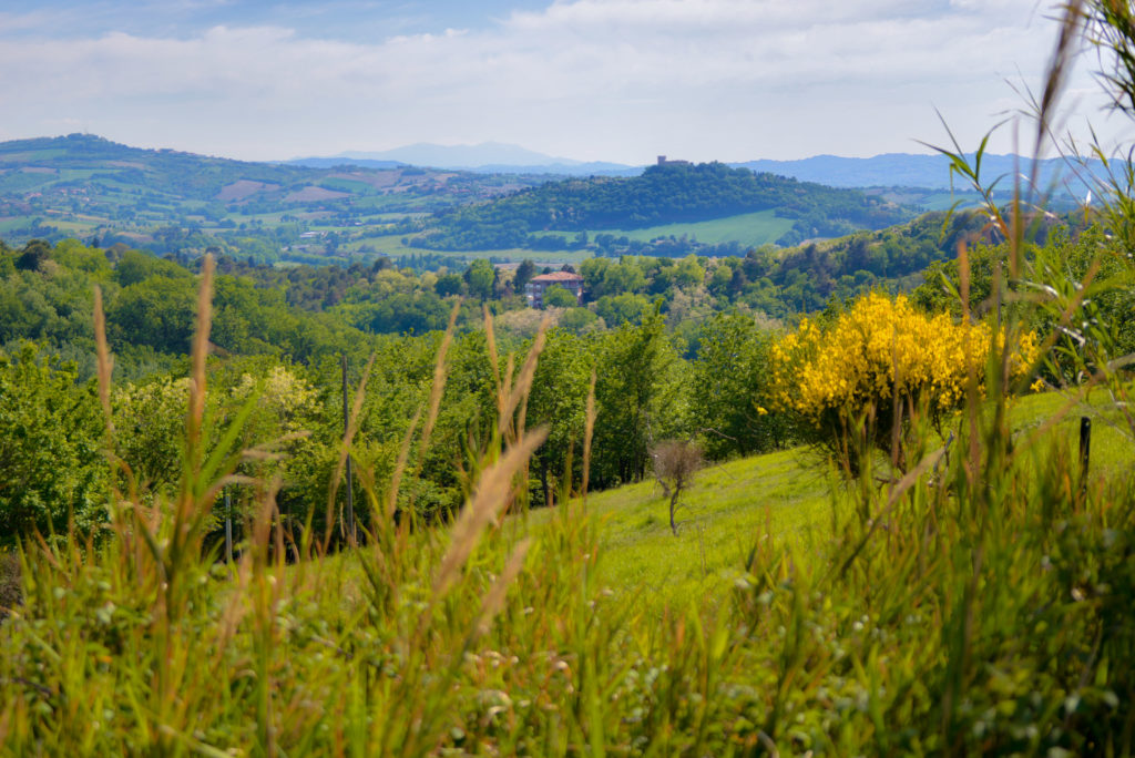 gradara vista dal monte san bartolo