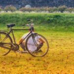 vacanza in bicicletta